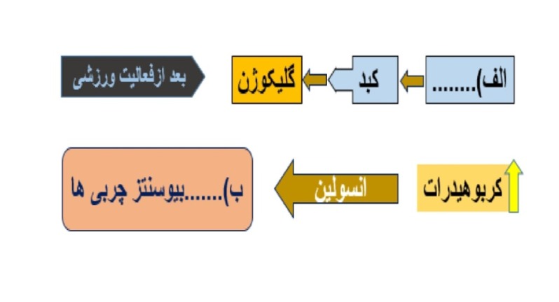 دریافت سوال 8