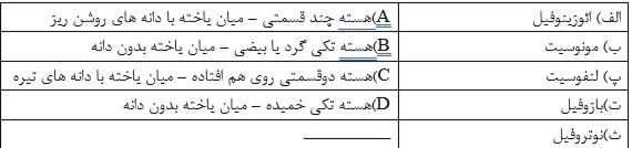 دریافت سوال 40