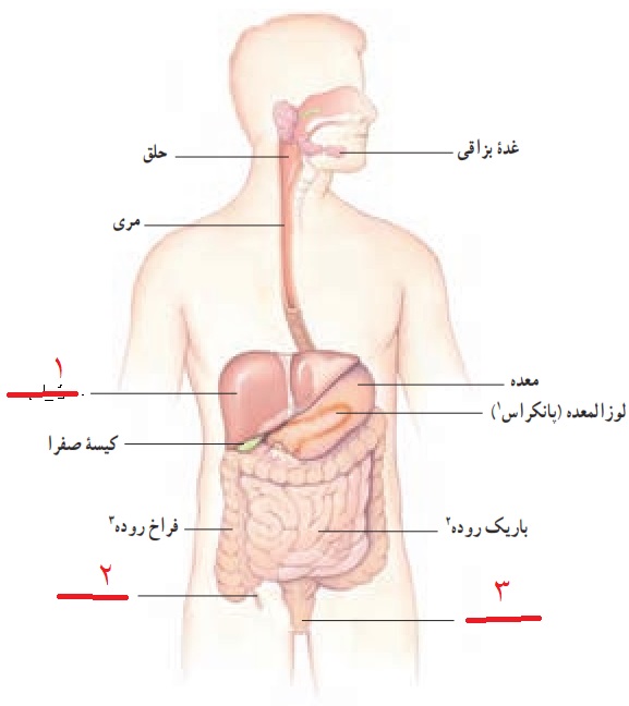 دریافت سوال 2