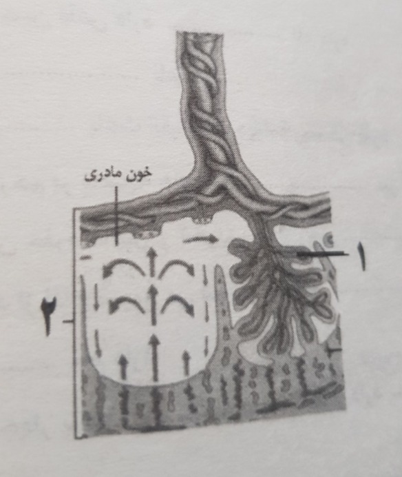 دریافت سوال 28