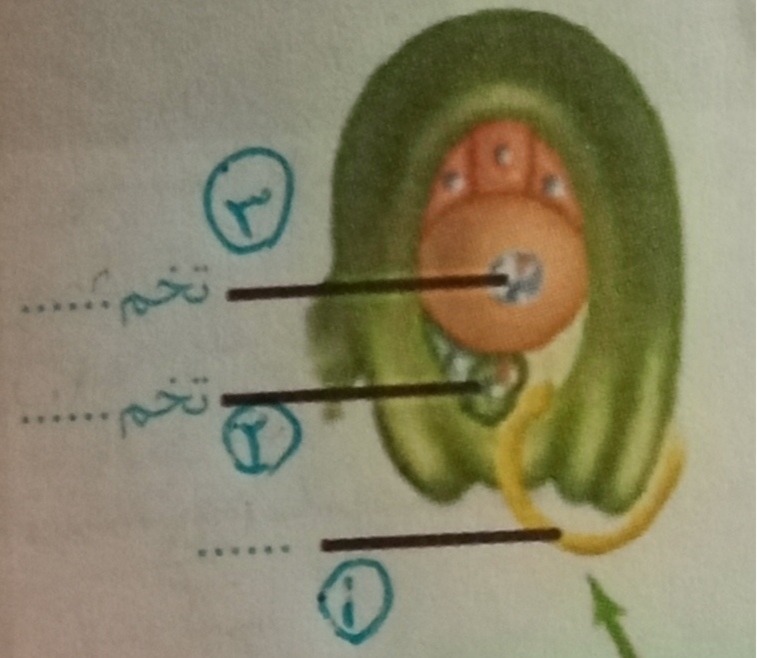 دریافت سوال 22