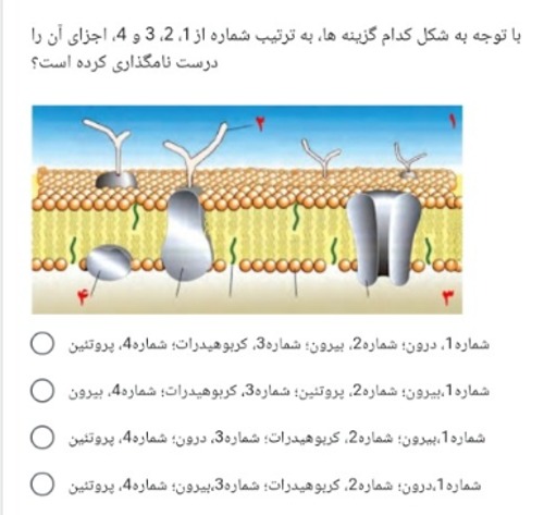 دریافت سوال 10