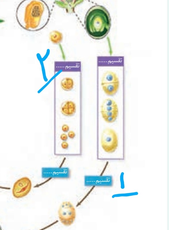 دریافت سوال 22