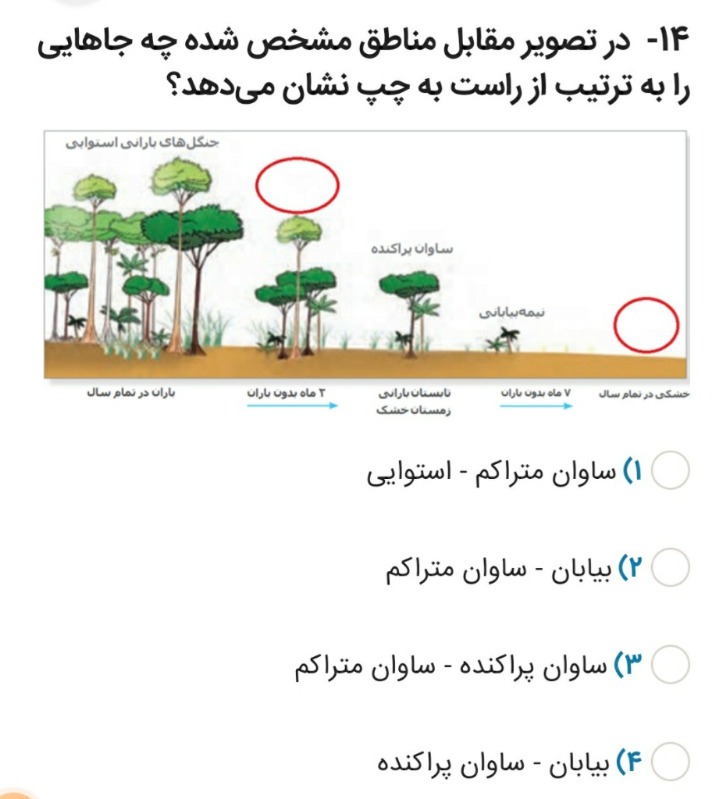 دریافت سوال 14