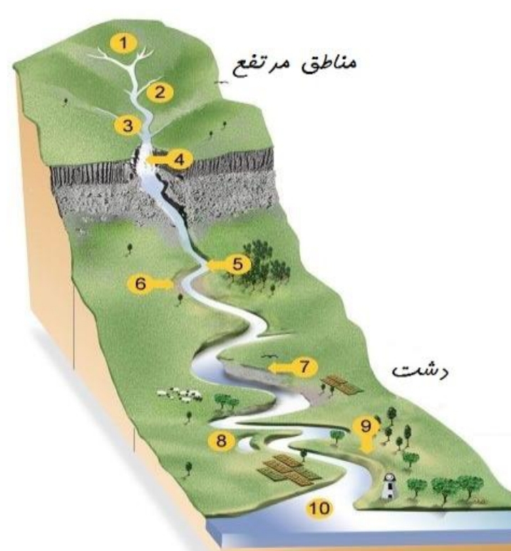 دریافت سوال 12