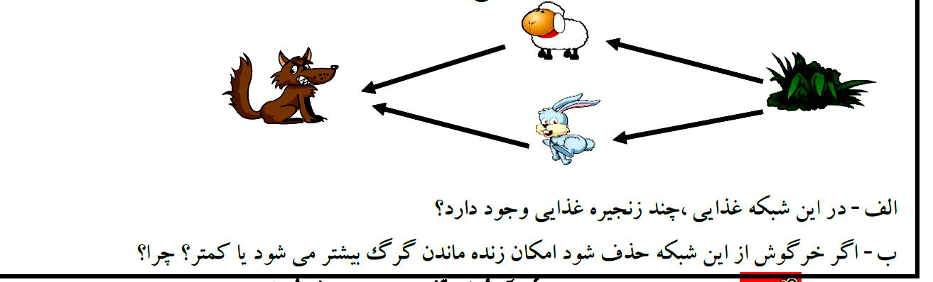 دریافت سوال 24