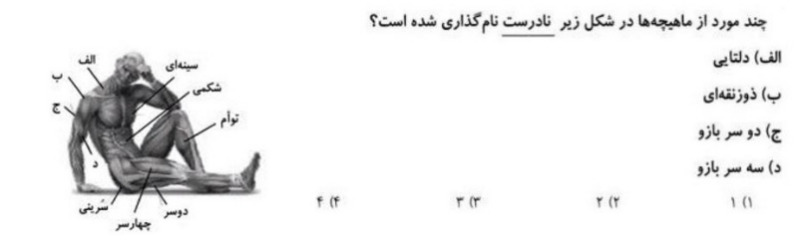 دریافت سوال 9