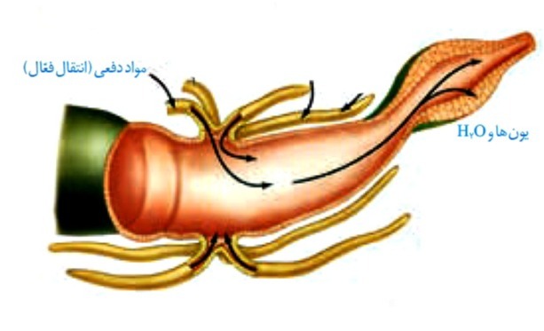 دریافت سوال 24