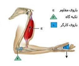 دریافت سوال 14