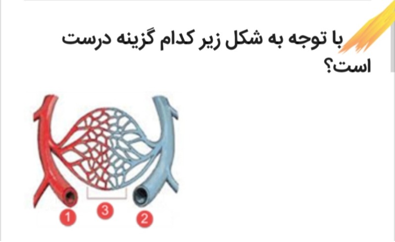 دریافت سوال 15