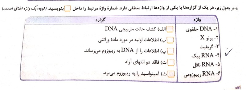 دریافت سوال 5