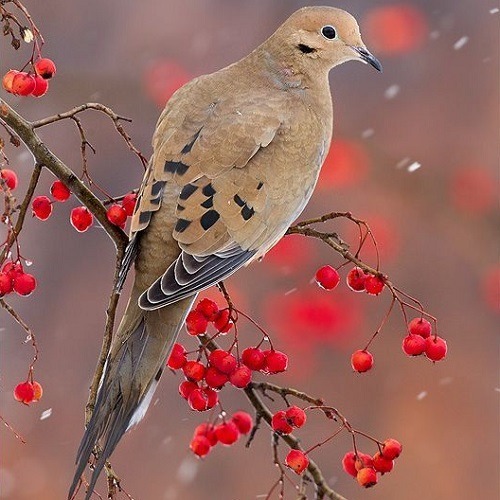 دریافت سوال 6