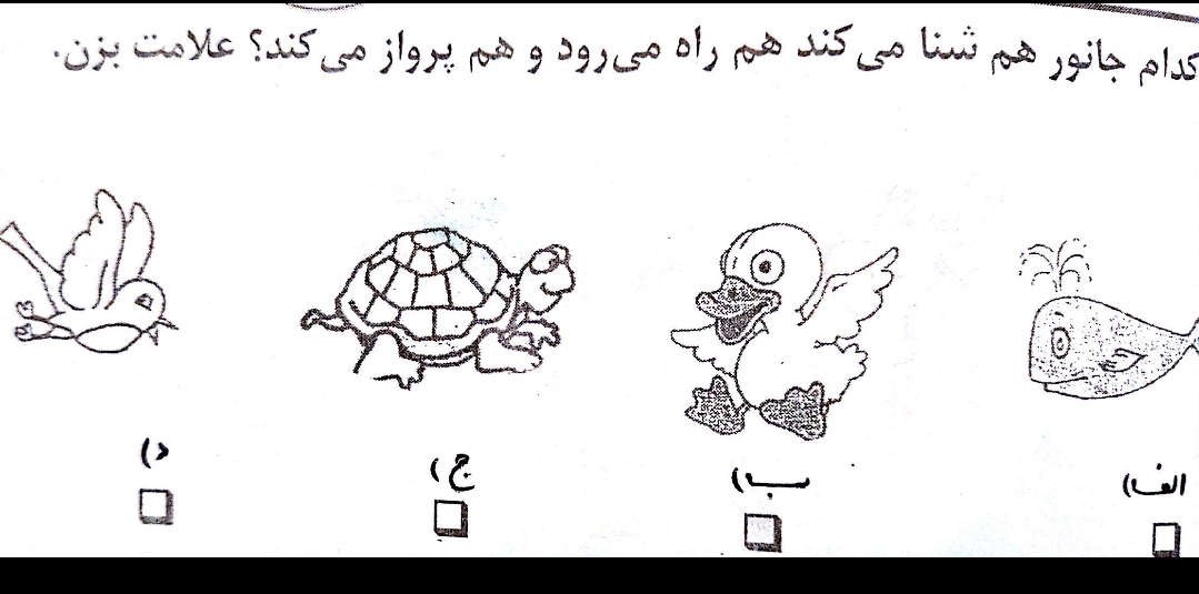 دریافت سوال 19