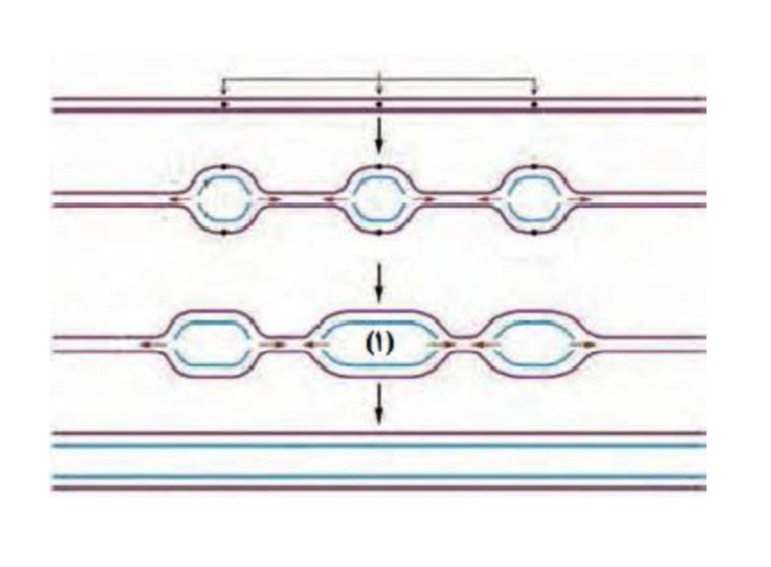 دریافت سوال 10