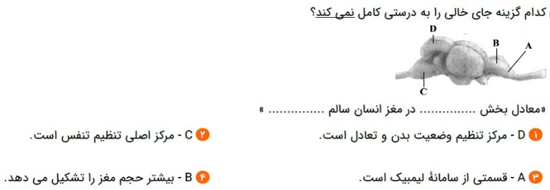 دریافت سوال 19