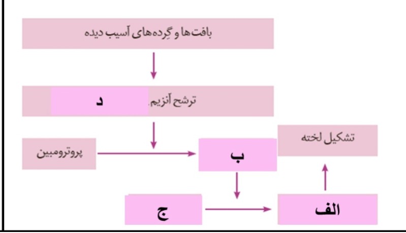 دریافت سوال 17