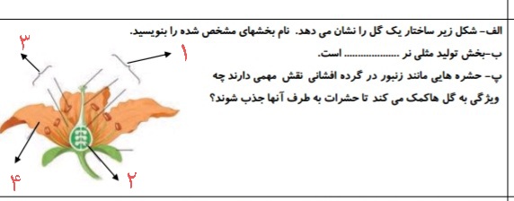 دریافت سوال 8