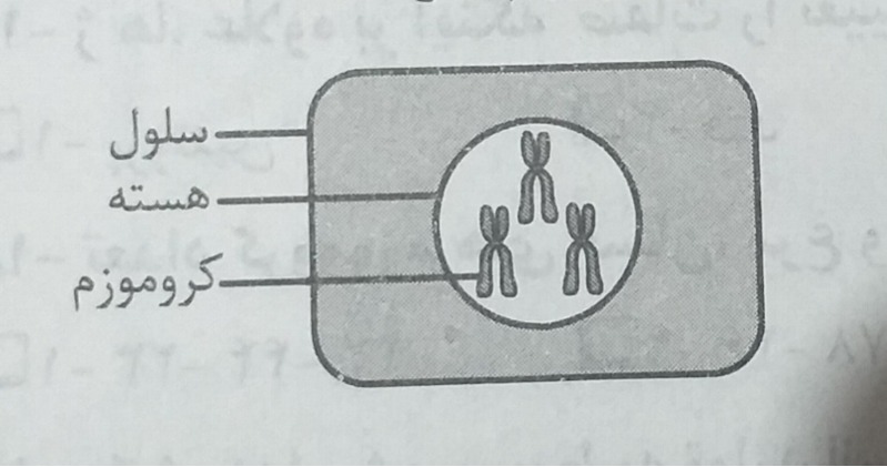 دریافت سوال 14