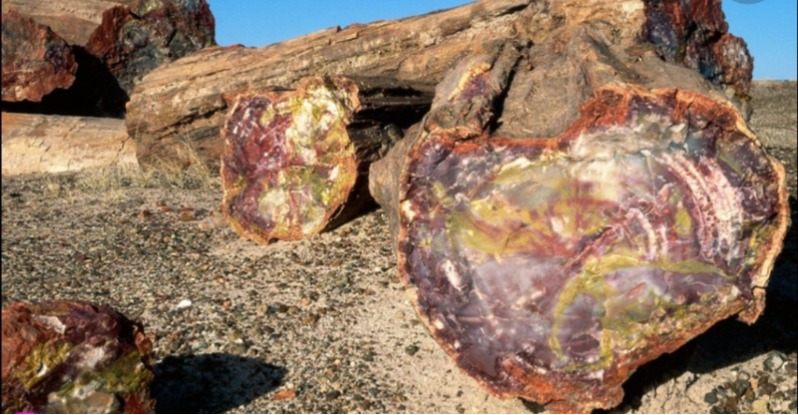 دریافت سوال 24