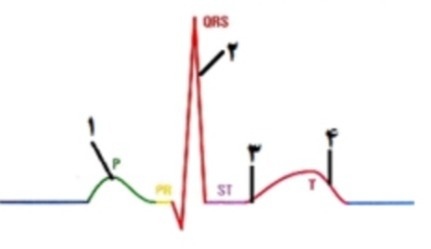 دریافت سوال 11