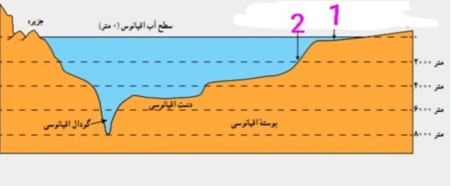 دریافت سوال 5