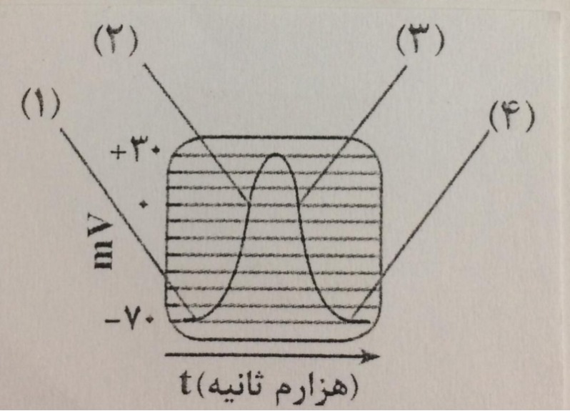 دریافت سوال 16