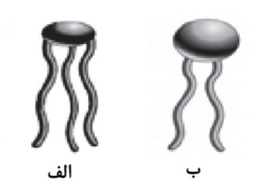 دریافت سوال 10