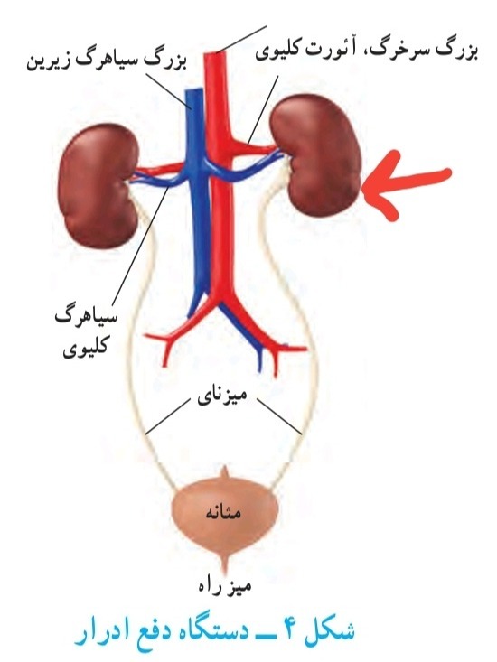 دریافت سوال 1