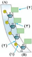 دریافت سوال 7