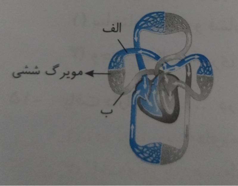 دریافت سوال 6