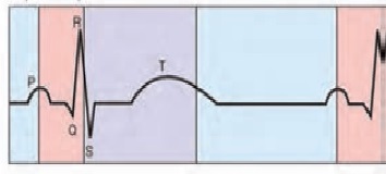 دریافت سوال 8