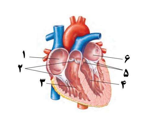 دریافت سوال 6