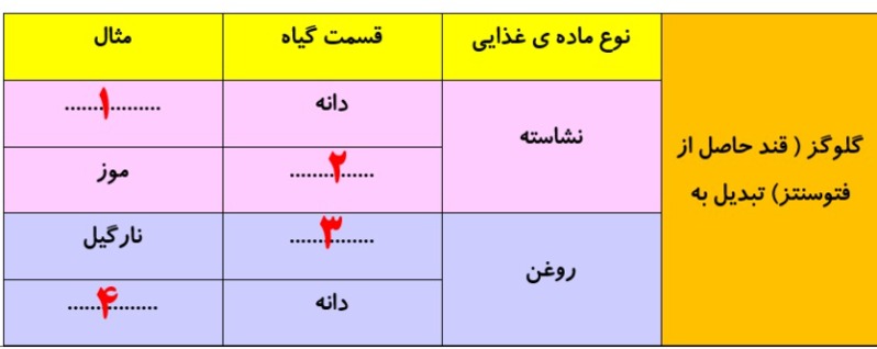 دریافت سوال 29