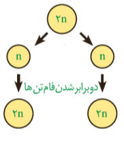 دریافت سوال 13