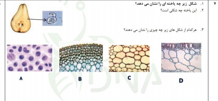 دریافت سوال 6