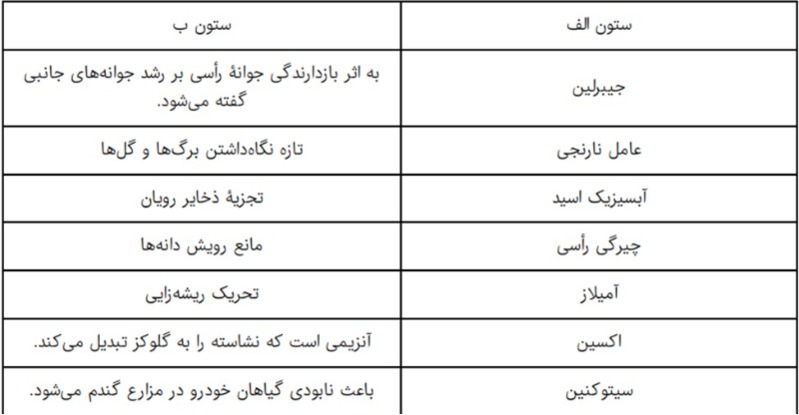 دریافت سوال 30