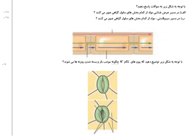 دریافت سوال 10