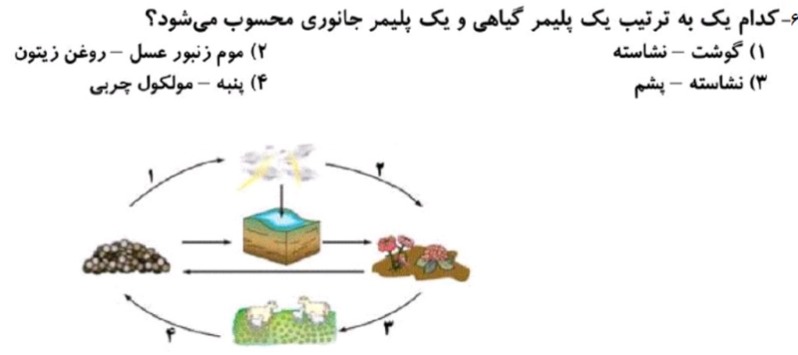 دریافت سوال 3