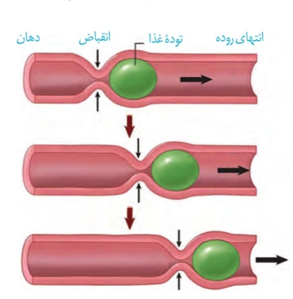 دریافت سوال 4