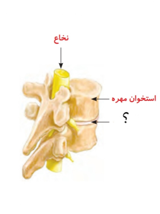 دریافت سوال 39