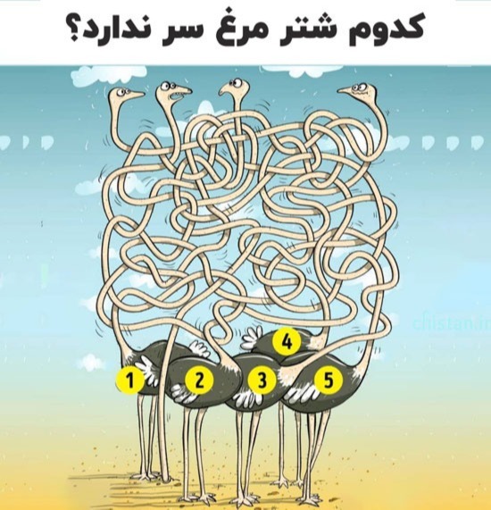 دریافت سوال 23