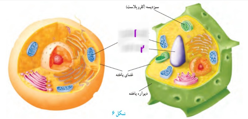 دریافت سوال 14