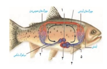 دریافت سوال 5