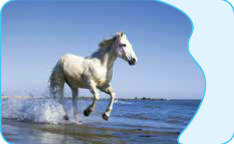 دریافت سوال 5