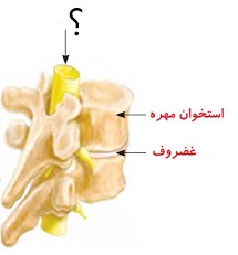 دریافت سوال 1