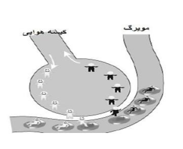 دریافت سوال 9