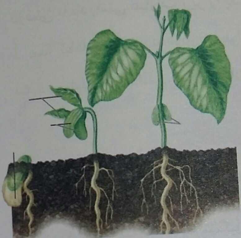 دریافت سوال 14
