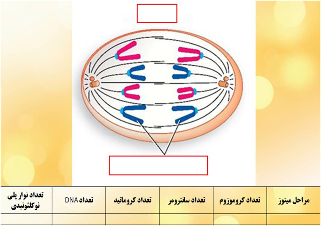 دریافت سوال 16