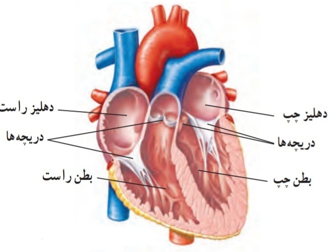 دریافت سوال 23