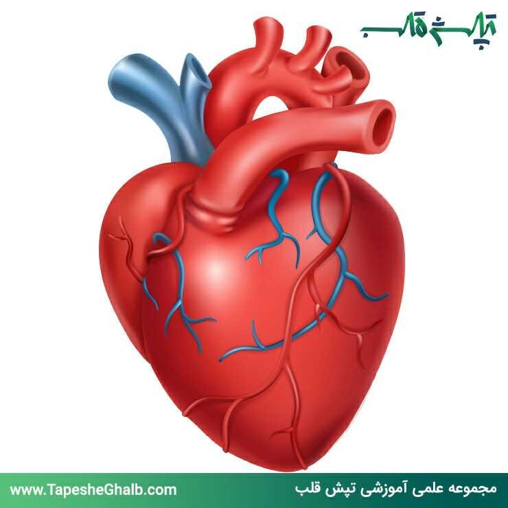 دریافت سوال 2